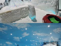 -世界之窗阿尔卑斯冰雪世界