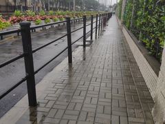 -上海置地广场(南京东路店)