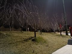 -秦文明广场