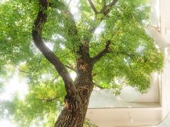 -湖北美术学院(昙华林校区)