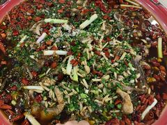 -东吴霸王兔(松青路店)
