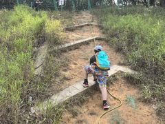 -黄埔油麻山森林公园