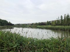 -两河城市森林公园