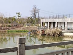 -上海长兴岛郊野公园