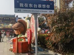 -东台西溪天仙缘景区