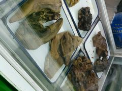 android_upload_pic-年记·兴顺斋 牛街清真熟食小吃店