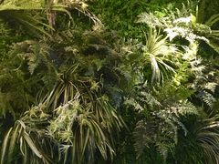 -三花奶奶的甜品(百联嘉定购物中心店)