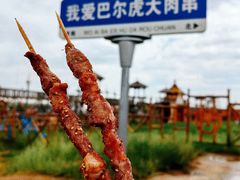 -呼伦贝尔大草原巴尔虎蒙古部落民俗旅游度假景区