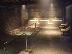 -漢頓温泉度假酒店