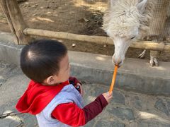 -西安秦岭野生动物园