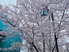 -海合安苏州阳澄半岛乐园