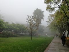-法雨寺餐厅
