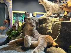 -厦门诚毅自然探索馆