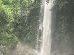 -莫里热带雨林景区