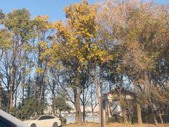 -江南雅厨(李公堤店)