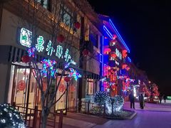 -南宫五洲植物乐园