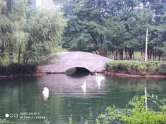 -长白岛森林公园