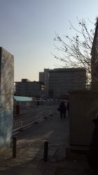 -首都医科大学附属北京儿童医院