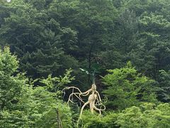 -丹东天桥沟景区