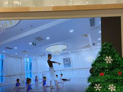 -芭蕾仙子 FairyBallet 少儿芭蕾舞蹈中心(丽都旗舰店)