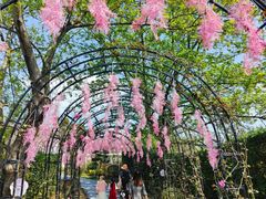 -福建鲤鱼洲酒店