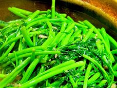-熠盛粤味·顺德桑拿鸡(永康路店)