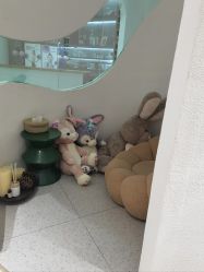 -薇薇安花系SPA