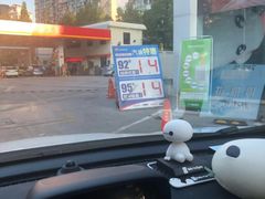 -中石油油气站(绿园店)