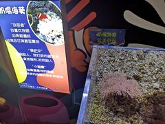 -沙沙哗啦海洋馆(华宇百花谷店)