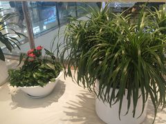 -万达广场(大明宫店)