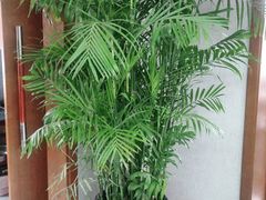 -河鱼鲜特色农家院