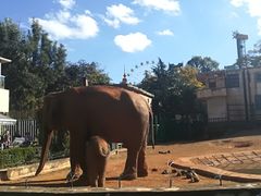 -昆明动物园
