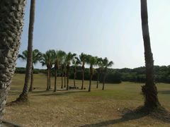 android_upload_pic-鹅銮鼻公园