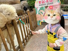 -杭州开元森泊度假乐园