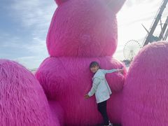 -秦皇岛乐岛海洋王国