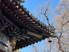-潭柘寺景区