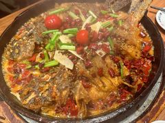 -老板恋上鱼(恒隆广场店)