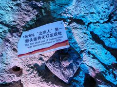 -周口店北京人遗址公园