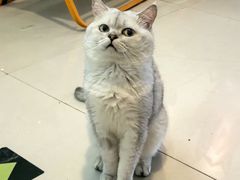-平行世界·猫咖(首经贸店)