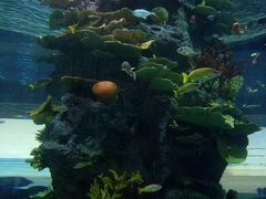 -福州罗源湾海洋世界旅游区