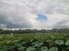 -沈阳市东陵公园