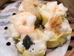 五色烧卖皇-新兴·金羊座·粤菜点心(乐峰店)