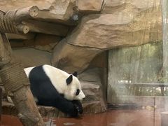 -成都动物园