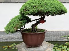 -水绘园