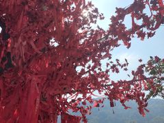 -东莞观音山旅游风景区