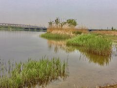-绿堤公园