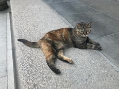 -龙华寺