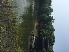 天目湖山水园景区-天目湖山水园