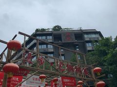 -泡桐树街