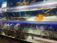 -盒马鲜生(岭南新世界店)